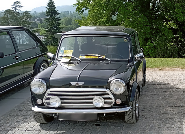 rover mini cosmopolitan 1993