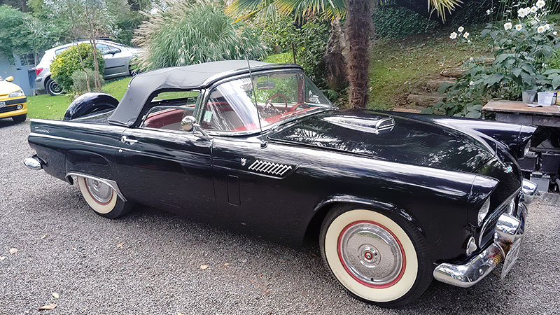 ford thunderbird 1956