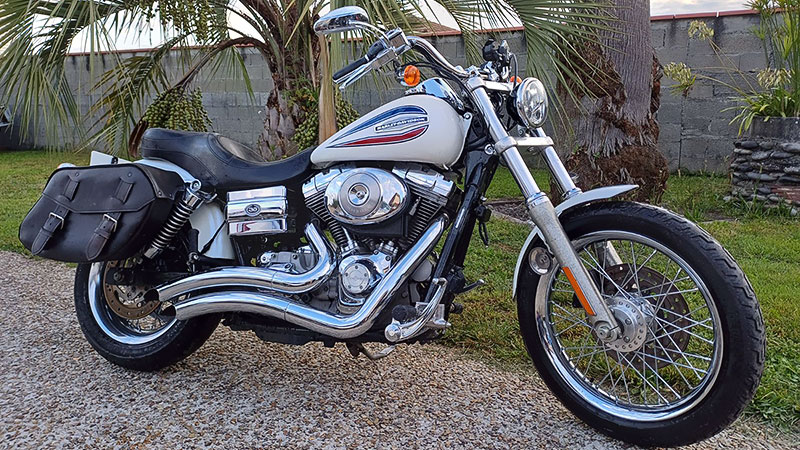 harley davidson 883 low 2008