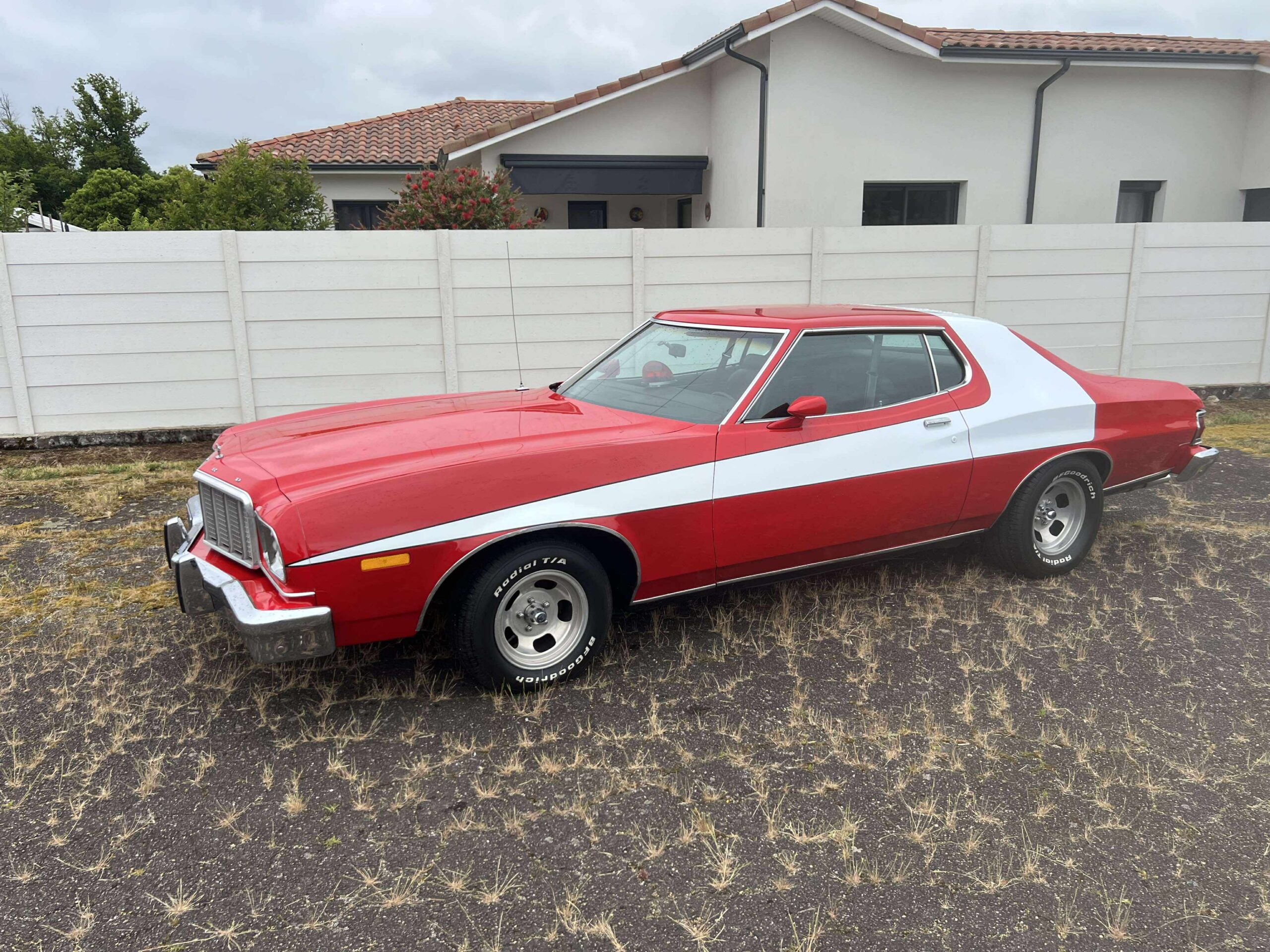 ford torino